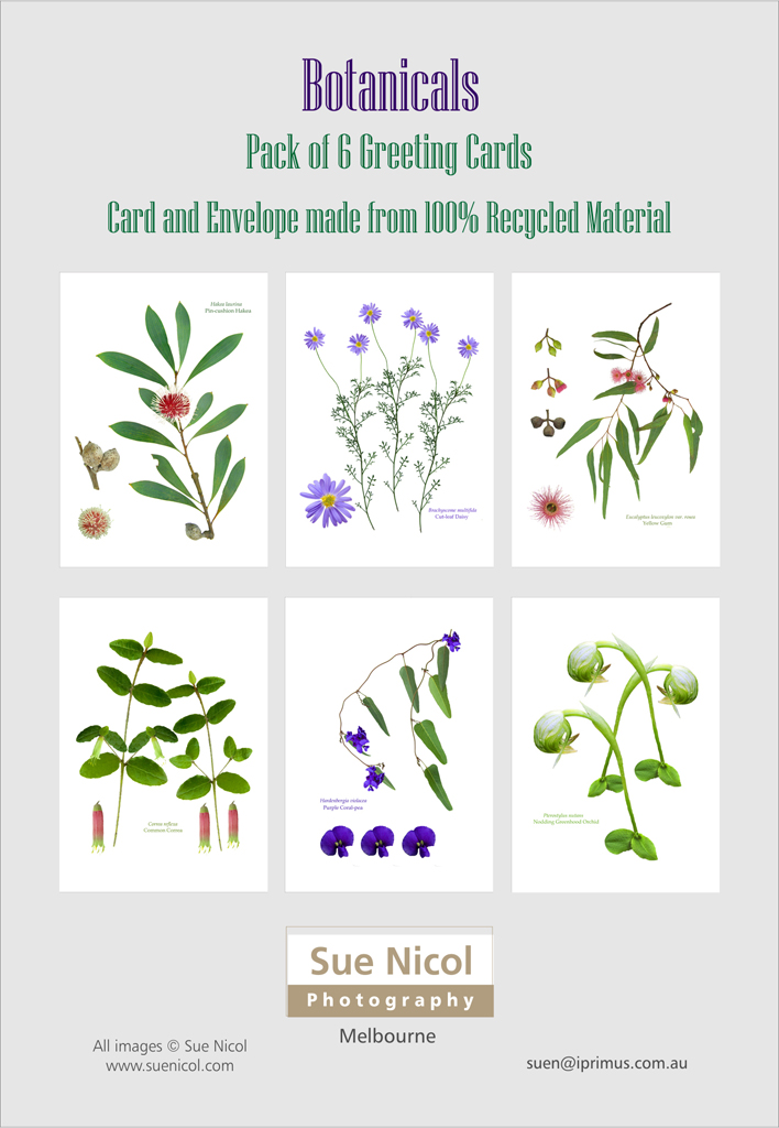PK10 Gift Pack of 6 Botanicals