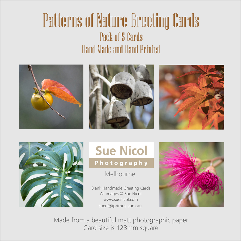 PK15 Gift Pack of 5 Patterns of Nature