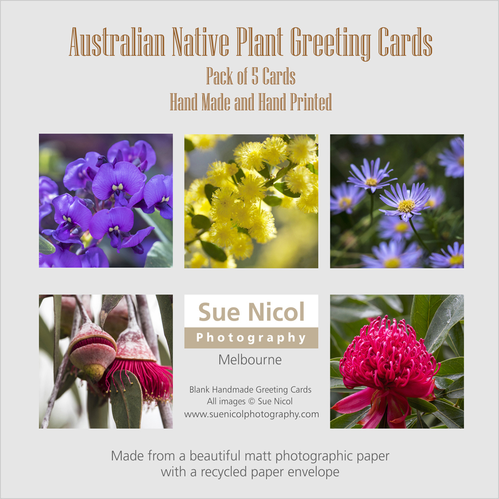 PK18 Gift Pack of 5 Native Plants
